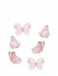 That's Mine - Wall Sticker Butterfly Set Of 6 Rose - Loomad - ONE SIZE