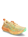 Asics - Noosa Tri 16 - Spordi jooksujalatsid - 42.5