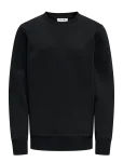 ONLY & SONS - Osjceres Crew Neck Swt Noos - Dressipluusid - 170-176