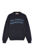 THE ANIMALS OBSERVATORY - Navy Leo Sweatshirt - Dressipluusid - 8 Y