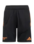Adidas Performance - Arsenal Fc Training Short Youth - Spordi l&uuml;hikesed p&uuml;ksid - 128