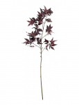 House Doctor - Artificial Branch, Hdmaple, Burgund - Kuivatatud ja kunstlilled - 30X 90CM
