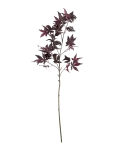 House Doctor - Artificial Branch, Hdmaple, Burgund - Kuivatatud ja kunstlilled - 30X90CM