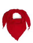 Davida Cashmere - Triangle Scarf - Sallid - ONE SIZE