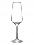 Orrefors - Pulse Champagne Glass 28Cl 4-Pack - &Scaron;ampanjaklaasid - 28 CL