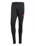 Adidas Performance - Lfc Tr Pnt - Spordi treeningp&uuml;ksid - M