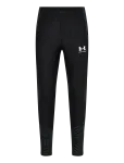 Under Armour - Ua M Ch. Pro Pant - Spordi treeningp&uuml;ksid - S