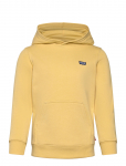 Levi's - Levi's&reg; Mini Batwing Pullover Hoodie - Kapuutsiga pusad - 104