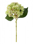 Bloomingville - Hydrangea Stem White - Kuivatatud ja kunstlilled - H36CM