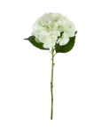 House Doctor - Artificial Flower, Hdhydrangea, Whi - Kuivatatud ja kunstlilled - 22X50CM