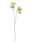 Bloomingville - Fennel Stem - Kuivatatud ja kunstlilled - H66CM