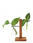 Winkee - Vase - Hydro Vases Fleur - Muud vaasid - H8CM
