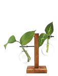 Winkee - Hydro Vases Fleur - Muud vaasid - H8CM