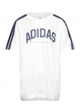 Adidas Sportswear - J C Colleg Tee - L&uuml;hikeste varrukatega - 176