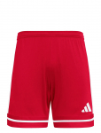Adidas Performance - Squa25 Sho M - Spordi l&uuml;hikesed p&uuml;ksid - L
