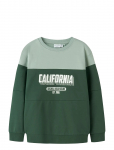 Name It - Nkmvemil Ls Nreg Sweat Bru - Dressipluusid - 116