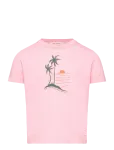 THE ANIMALS OBSERVATORY - Big Rooster Kid T-Shirt Pink 2Y - L&uuml;hikeste varrukatega - 2 Y