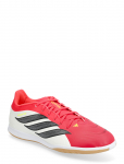 Adidas Performance - Predator Club In Sala - Spordi sisejalatsid - 42