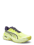 PUMA - Fast-Trac Nitro 4 - Spordi jooksujalatsid - 42.5