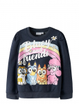 Name It - Nmfjenney Bluey Sweat Bru Sky - Dressipluusid - 104