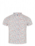 Petit Bateau - Sf Blouses Mc - L&uuml;hikeste varrukatega s&auml;rgid - 152