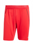Adidas Performance - Tiro25P Tr Sho - Spordi l&uuml;hikesed treeningp&uuml;ksid - M