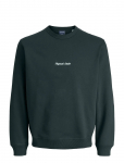 Jack & Jones - Jornorrebro Emb Sweat Crew Noos - Dressipluusid - XXL