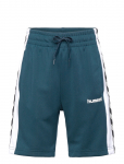 Hummel - Hmljr Chevron Shorts - L&uuml;hikesed dressip&uuml;ksid - 128
