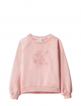 Calvin Klein - Ck Logo Sweatshirt - Dressipluusid - 170