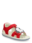 Camper - Tws Fw By Moomin - Sandaalid - 26
