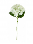 House Doctor - Artificial Flower, Hdhydrangea, Whi - Kuivatatud ja kunstlilled - 22X 50CM