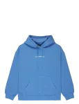 Quiksilver - Standard Hoodie - Kapuutsiga pusad - M