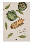 Lexington Home - Vegetables Org Cotton Kitchen Towel - K&ouml;&ouml;gir&auml;tikud - 50X70