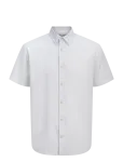 Jack & Jones - Jjesummer Linen Blend Shirt S/S Sn - L&uuml;hikeste varrukatega s&auml;rgid - L