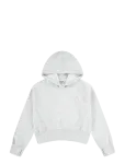 Abercrombie Kids - Po-Pull-Over Hoody - Kapuutsiga pusad - 110/116