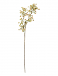 Bloomingville - Waxflower Stem - Kuivatatud ja kunstlilled - H91CM