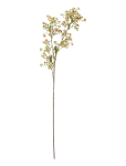 Bloomingville - Waxflower Stem - Kuivatatud ja kunstlilled - H91CM