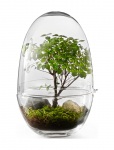 Design House Stockholm - Grow Greenhouse Large - Big Vases - H32CM