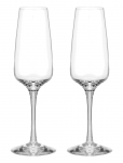 Orrefors - Pulse Champagneglass 28Cl 2-Pack - &Scaron;ampanjaklaasid - 28 CL