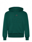 Adidas Sportswear - M Feelcozy Hd - Spordi kapuutsiga pusad - S