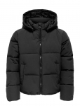 Kids Only - Kogdolly Life Sht Puffer Jacket Otw Noos - Tepitud ja polsterdatud - 164