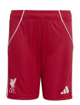 Adidas Performance - Lfc H Sho Y - Spordi l&uuml;hikesed p&uuml;ksid - 164
