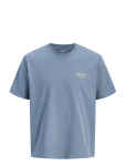 Jack & Jones - Jjearchive Graphic Tee Ss Oneck Noos Jnr - L&uuml;hikeste varrukatega - 164