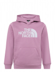 The North Face - Teen Tnf Essential Drew Peak Hoodie - Kapuutsiga pusad - XS