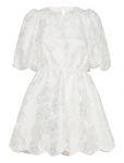 Malina - Elina Scalloped Detail Mini Dress - L&uuml;hikesed kleidid - XL