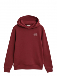 Gant - Graphic Hoodie - Kapuutsiga pusad - 170