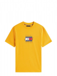 Tommy Hilfiger - Linear Flag Graphic Tee - L&uuml;hikeste varrukatega - L