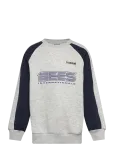 Hummel - Hmljr Oversized Iconic Crew Bees - Dressipluusid - 110/116
