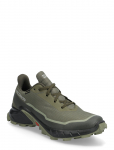 Salomon - Cross Alphacross 5 Gtx - Spordi &otilde;ue- ja matkajalatsid - 44