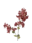 Bloomingville - Myrtle Stem - Kuivatatud ja kunstlilled - H100CM